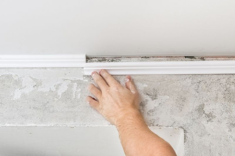 installation of cornice done by Newcastle Plastering and Gyprock